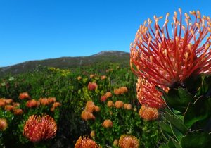 Give A Little Back - Weekend Inspiration